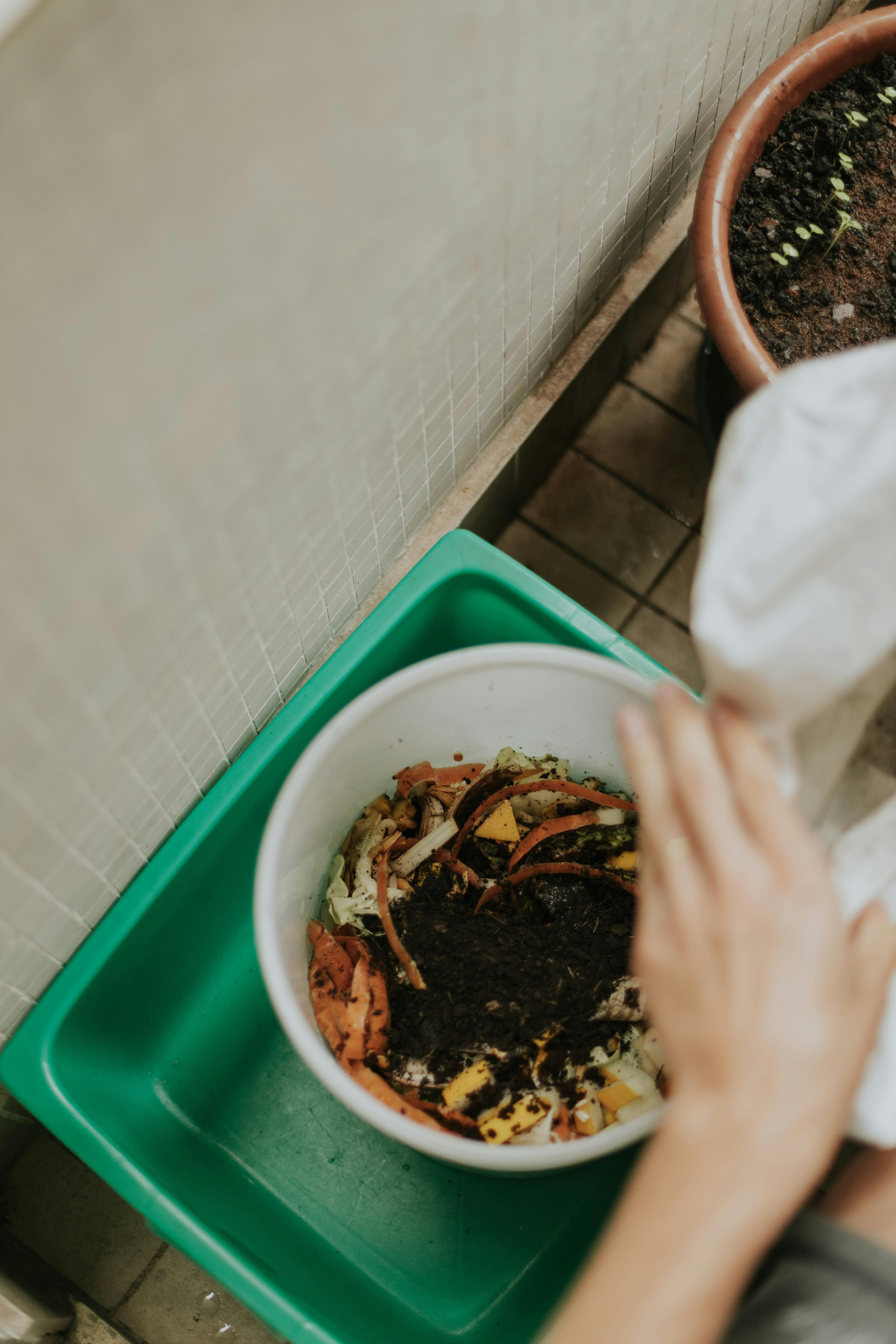 Food Waste to Compost